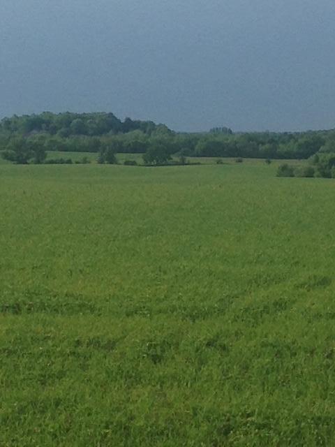 Tbdx 130th Street Detroit Lakes, MN 56501 - Photo 77 of 98