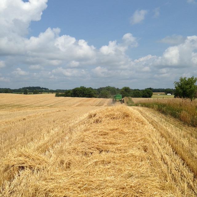 Tbdx 130th Street Detroit Lakes, MN 56501 - Photo 79 of 98