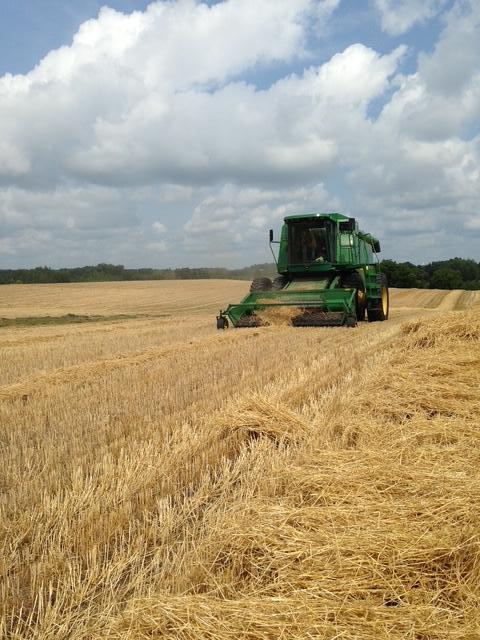 Tbdx 130th Street Detroit Lakes, MN 56501 - Photo 80 of 98