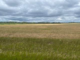 Tbdx 130th Street Detroit Lakes, MN 56501 - Photo 82 of 98