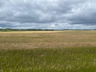 Tbdx 130th Street Detroit Lakes, MN 56501 - Photo 83 of 98