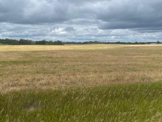 Tbdx 130th Street Detroit Lakes, MN 56501 - Photo 84 of 98