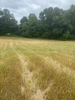 Tbdx 130th Street Detroit Lakes, MN 56501 - Photo 86 of 98