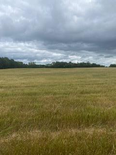 Tbdx 130th Street Detroit Lakes, MN 56501 - Photo 87 of 98