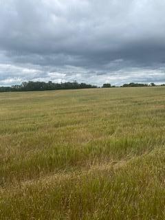 Tbdx 130th Street Detroit Lakes, MN 56501 - Photo 88 of 98