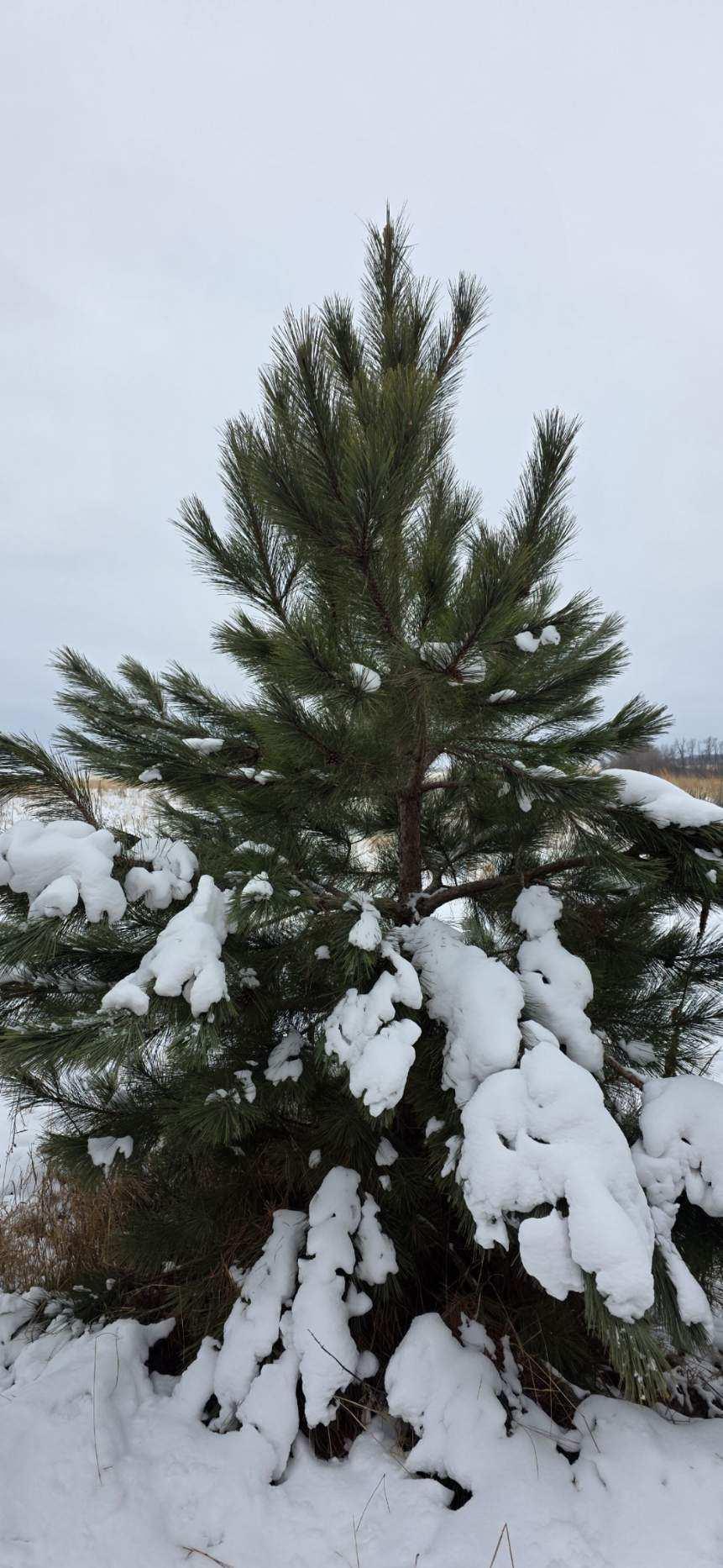 Tbdx 130th Street Detroit Lakes, MN 56501 - Photo 89 of 98