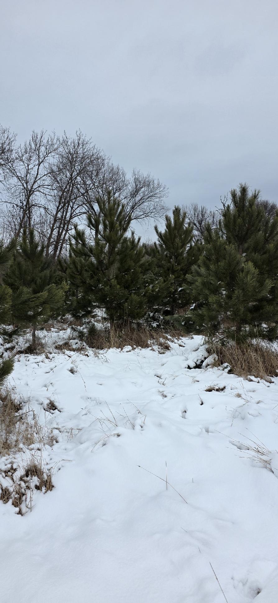 Tbdx 130th Street Detroit Lakes, MN 56501 - Photo 90 of 98