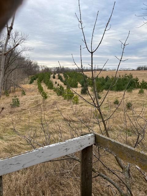 Tbdx 130th Street Detroit Lakes, MN 56501 - Photo 91 of 98