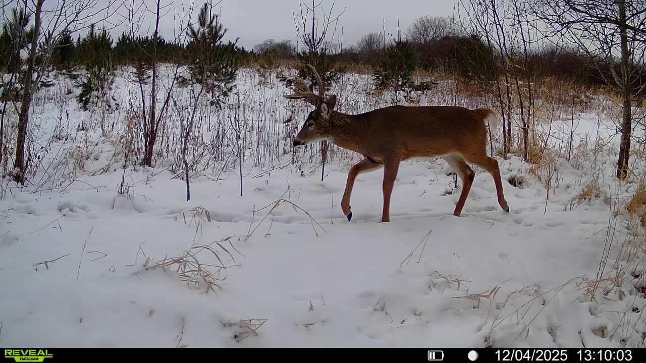 Tbdx 130th Street Detroit Lakes, MN 56501 - Photo 92 of 98