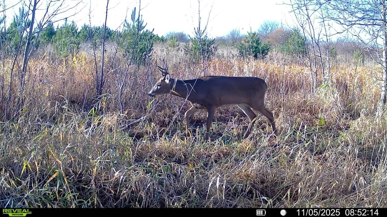 Tbdx 130th Street Detroit Lakes, MN 56501 - Photo 93 of 98