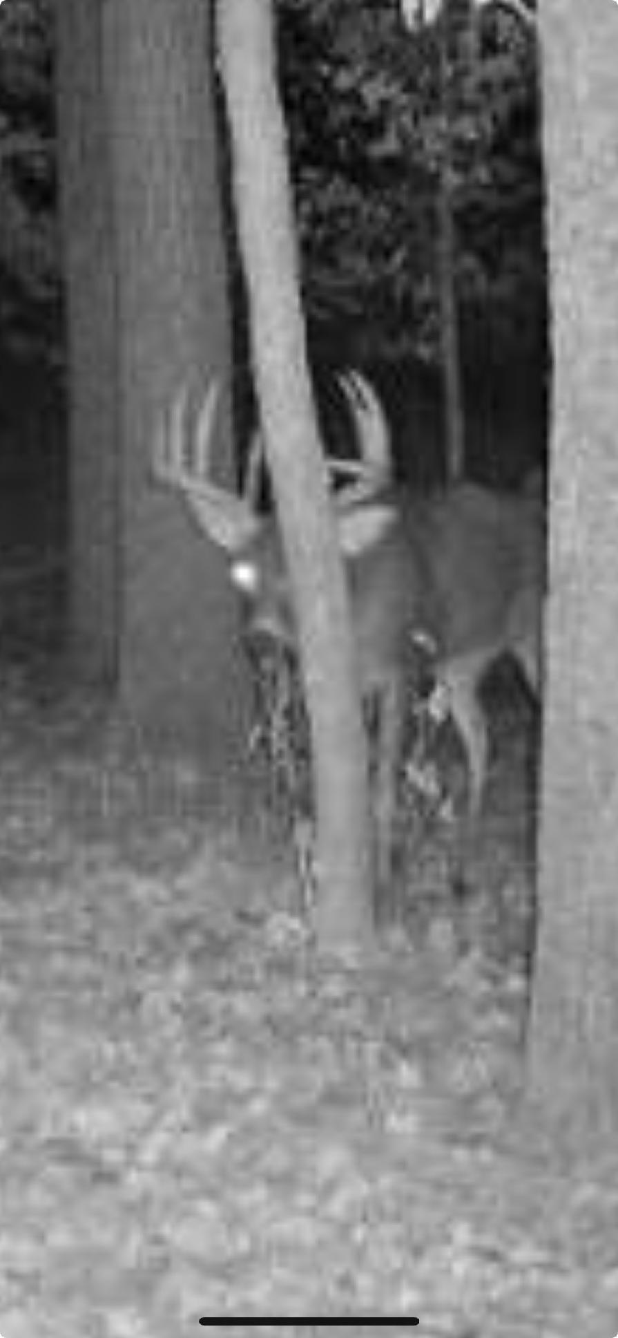 Tbdx 130th Street Detroit Lakes, MN 56501 - Photo 95 of 98