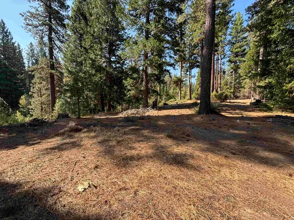 $68,000 | 86 Eureka Springs Drive, Blairsden, CA 96103