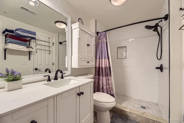 a bathroom with a sink a toilet and shower