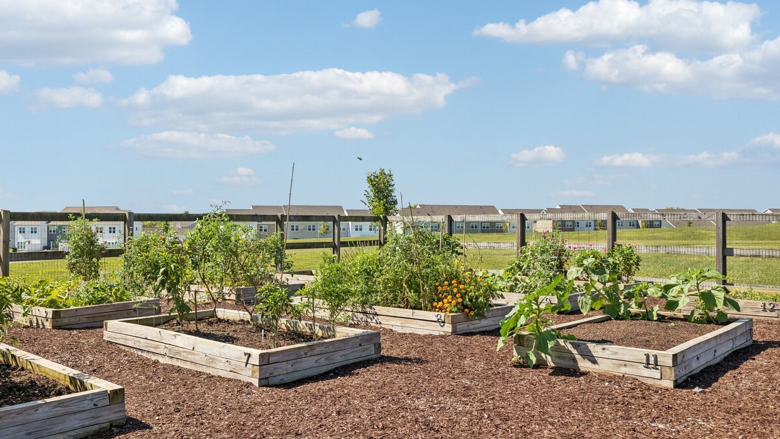 323 Harvest Point Boulevard Spring Hill, TN 37174 - Photo 74 of 88