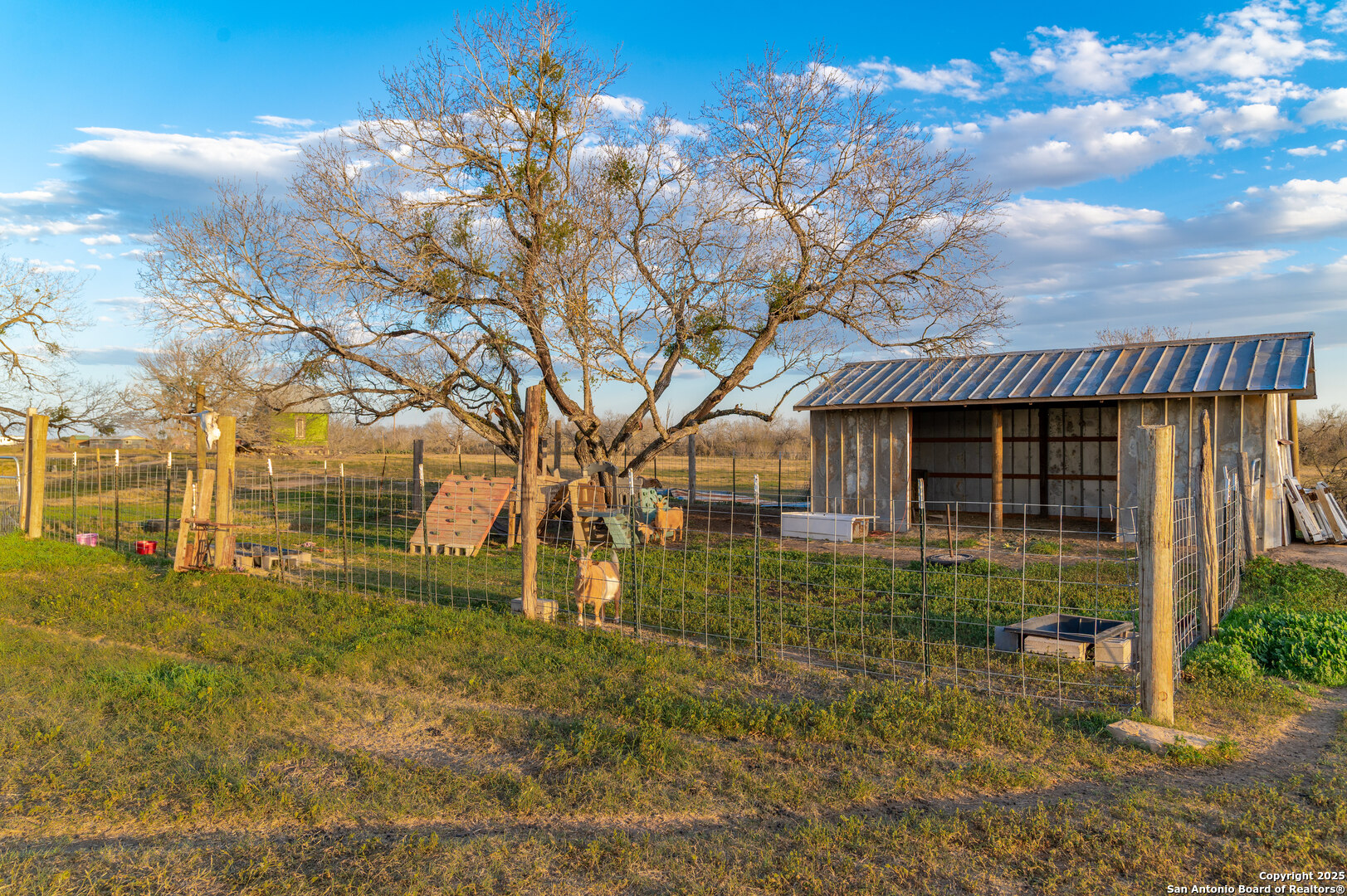 7150 Linne Road Seguin, TX 78155 - Photo 30 of 48