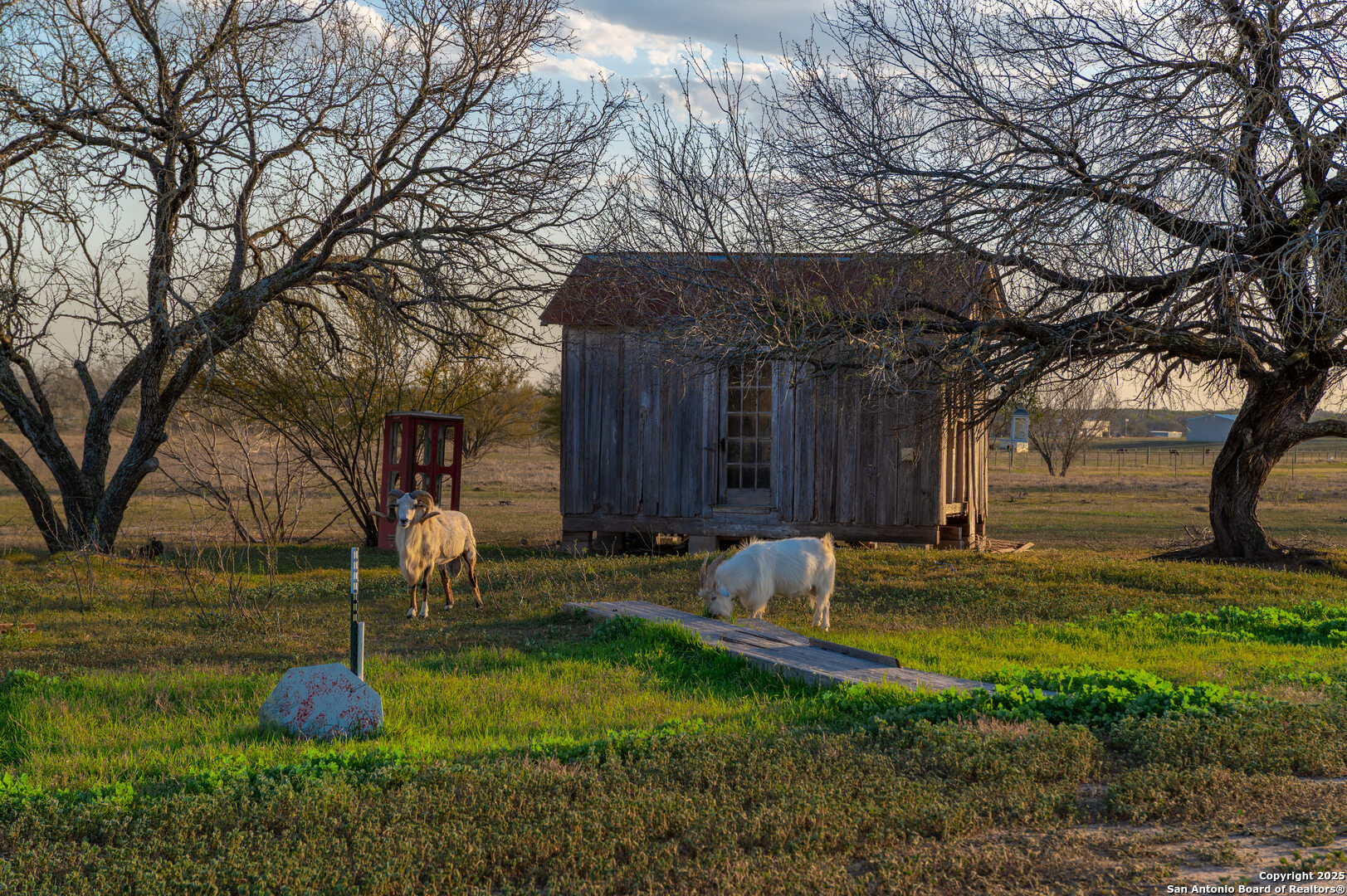 7150 Linne Road Seguin, TX 78155 - Photo 31 of 48