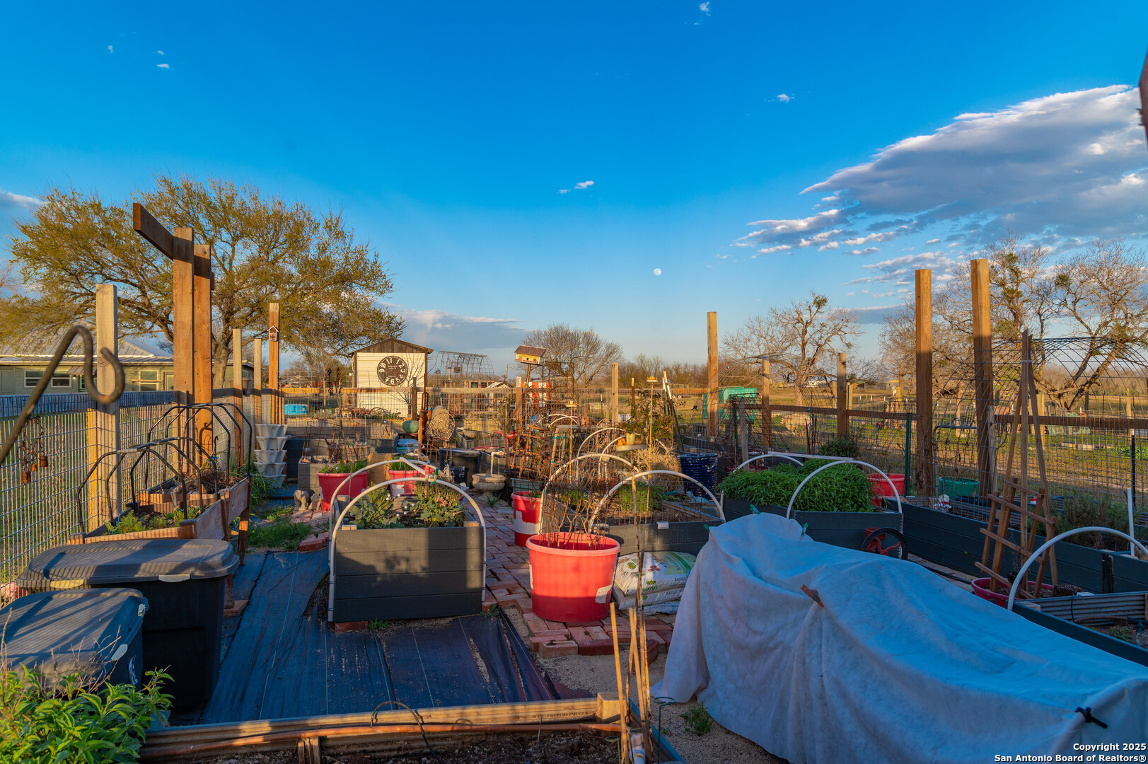 7150 Linne Road Seguin, TX 78155 - Photo 33 of 48