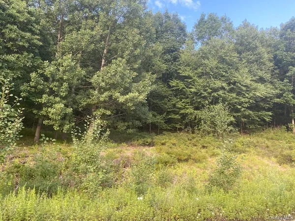 $595,000 | 19 North Ridge Road, Pomona, NY 10970