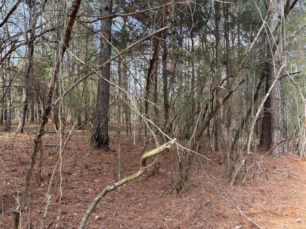 292 Shirley Road Southeast Ranger, GA 30734 - Photo 14 of 80 a backyard of a house with lots of green space