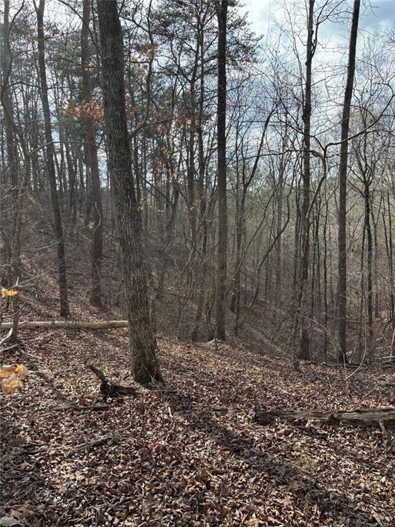 292 Shirley Road Southeast Ranger, GA 30734 - Photo 17 of 80 a view of a yard with trees