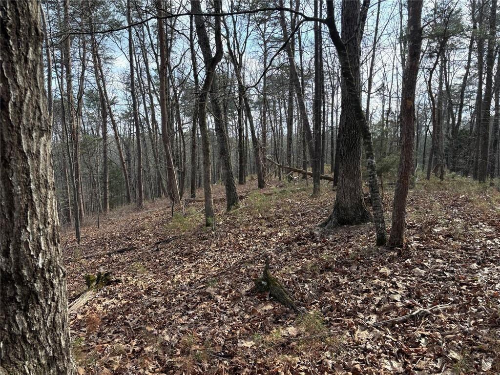 292 Shirley Road Southeast Ranger, GA 30734 - Photo 18 of 80