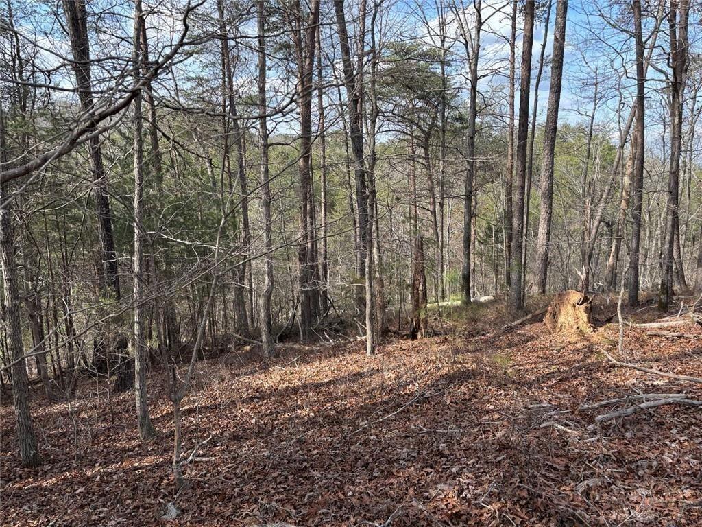 292 Shirley Road Southeast Ranger, GA 30734 - Photo 21 of 80 a backyard of a house with lots of green space