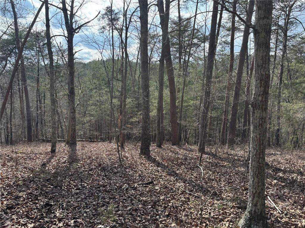 292 Shirley Road Southeast Ranger, GA 30734 - Photo 24 of 80