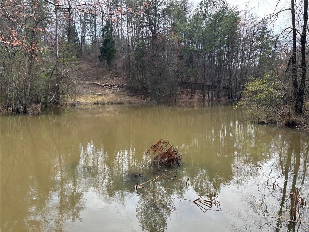 292 Shirley Road Southeast Ranger, GA 30734 - Photo 63 of 80 a view of a lake with a forest