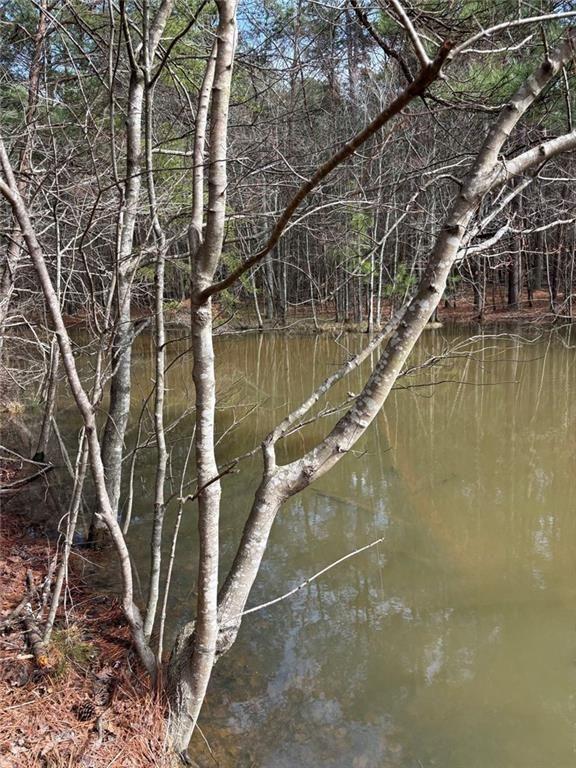 292 Shirley Road Southeast Ranger, GA 30734 - Photo 64 of 80 a view of a swimming pool with a yard and large tree