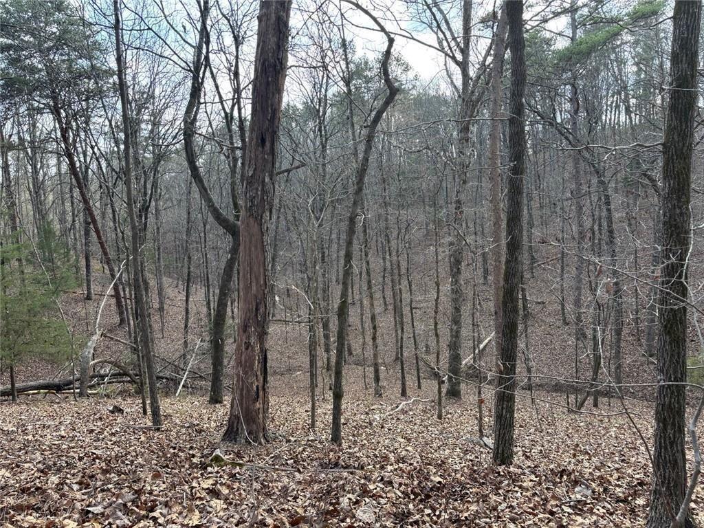 292 Shirley Road Southeast Ranger, GA 30734 - Photo 66 of 80