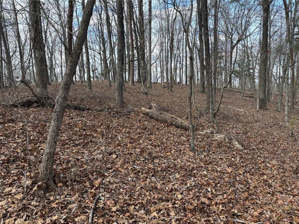 292 Shirley Road Southeast Ranger, GA 30734 - Photo 67 of 80 a backyard of a house with lots of green space