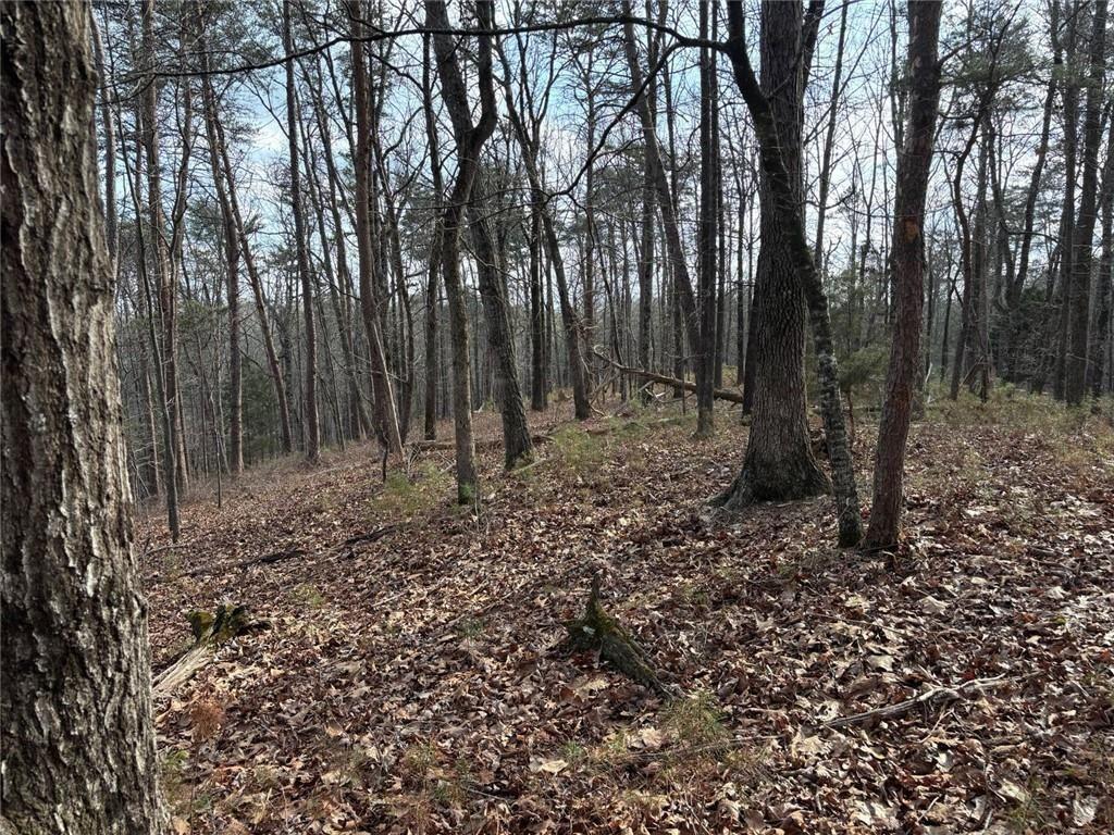 292 Shirley Road Southeast Ranger, GA 30734 - Photo 69 of 80