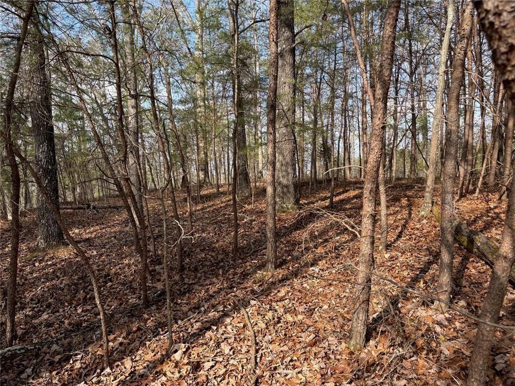 292 Shirley Road Southeast Ranger, GA 30734 - Photo 70 of 80