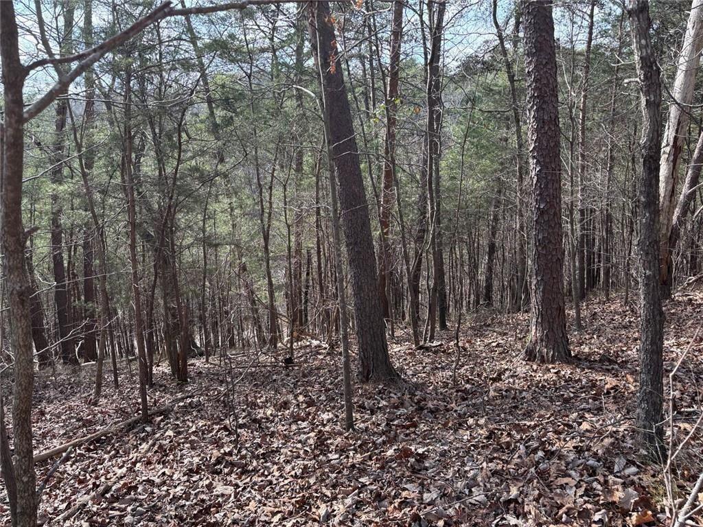 292 Shirley Road Southeast Ranger, GA 30734 - Photo 72 of 80 a view of outdoor space with lots of trees