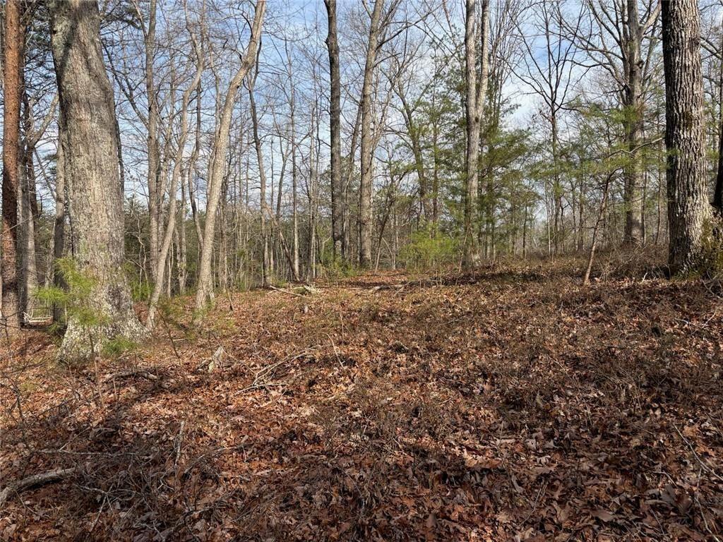 292 Shirley Road Southeast Ranger, GA 30734 - Photo 74 of 80