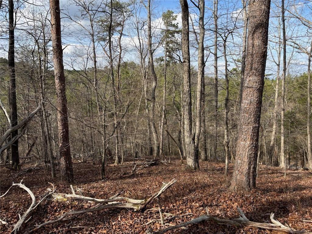 292 Shirley Road Southeast Ranger, GA 30734 - Photo 76 of 80 a backyard of a house with lots of green space