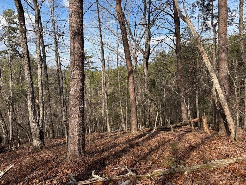 292 Shirley Road Southeast Ranger, GA 30734 - Photo 77 of 80