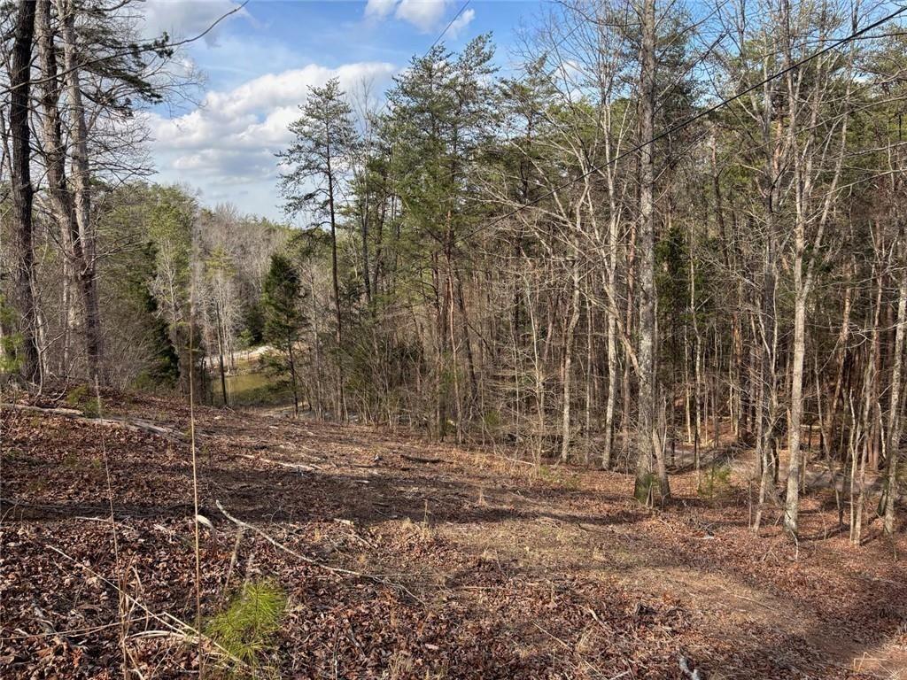 292 Shirley Road Southeast Ranger, GA 30734 - Photo 79 of 80 a backyard of a house with lots of green space