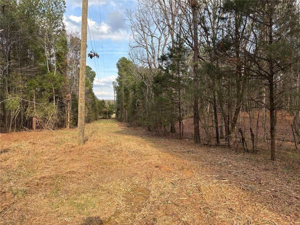 292 Shirley Road Southeast Ranger, GA 30734 - Photo 10 of 80 a view of a yard with trees