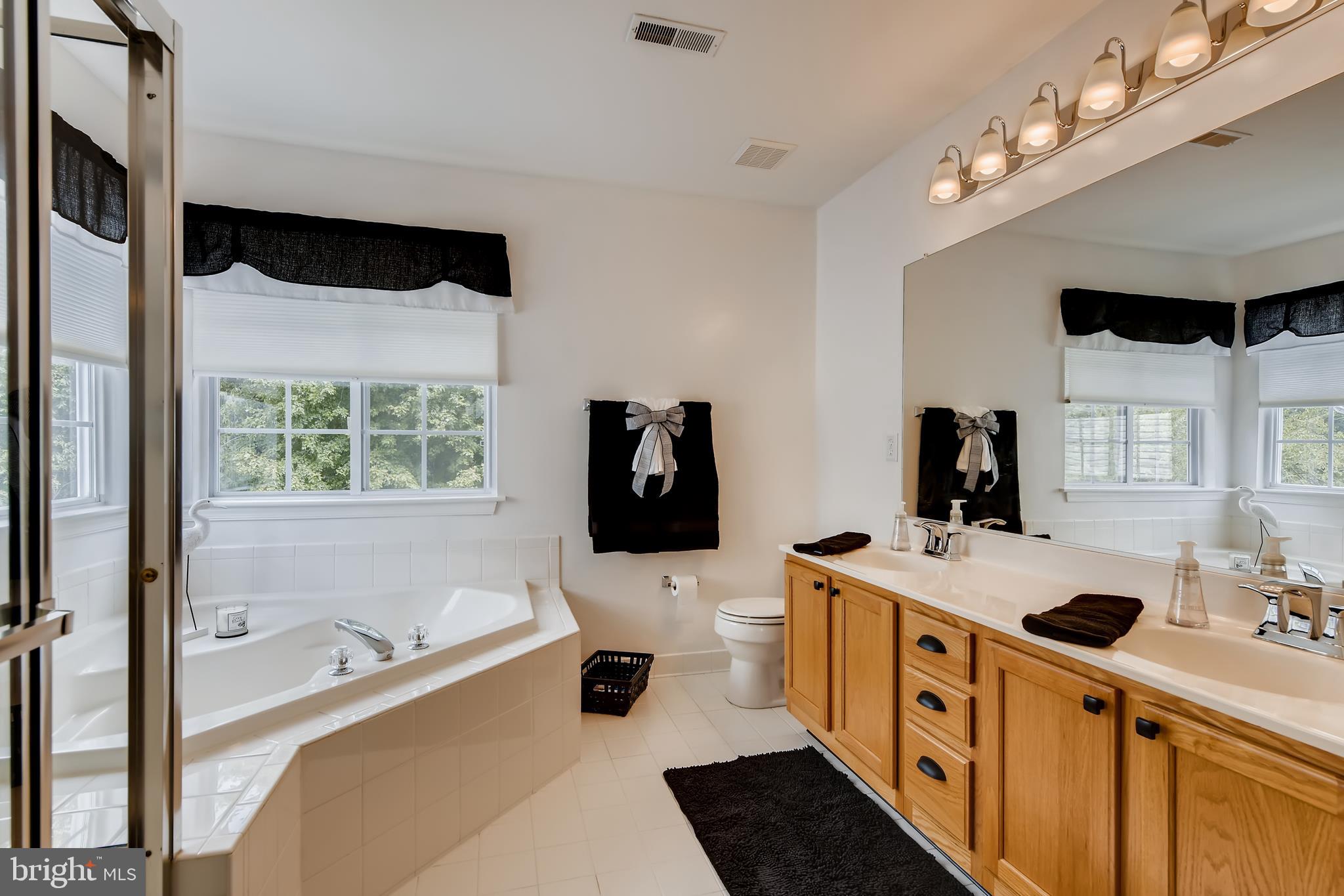 9526 Good Spring Drive Perry Hall, MD 21128 - Photo 20 of 42 a bathroom with a tub sink and mirror