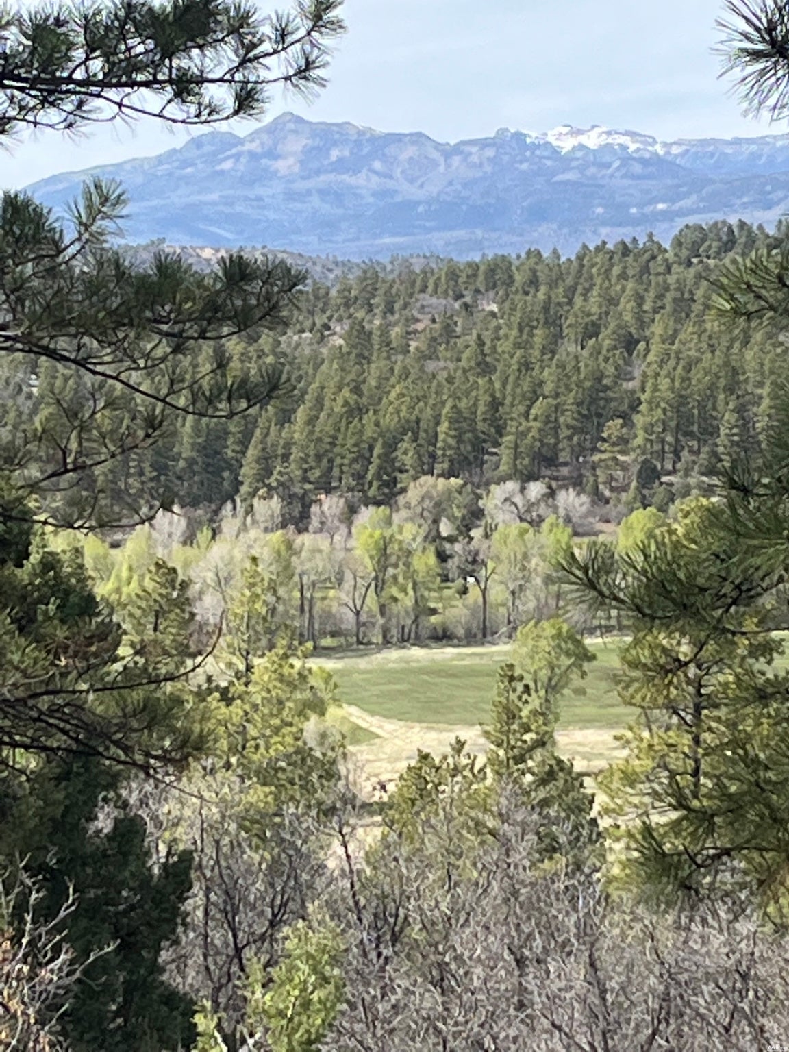 0 Pd 1788 Road Chama, NM 87520 - Photo 17 of 17 Gallery Image 17