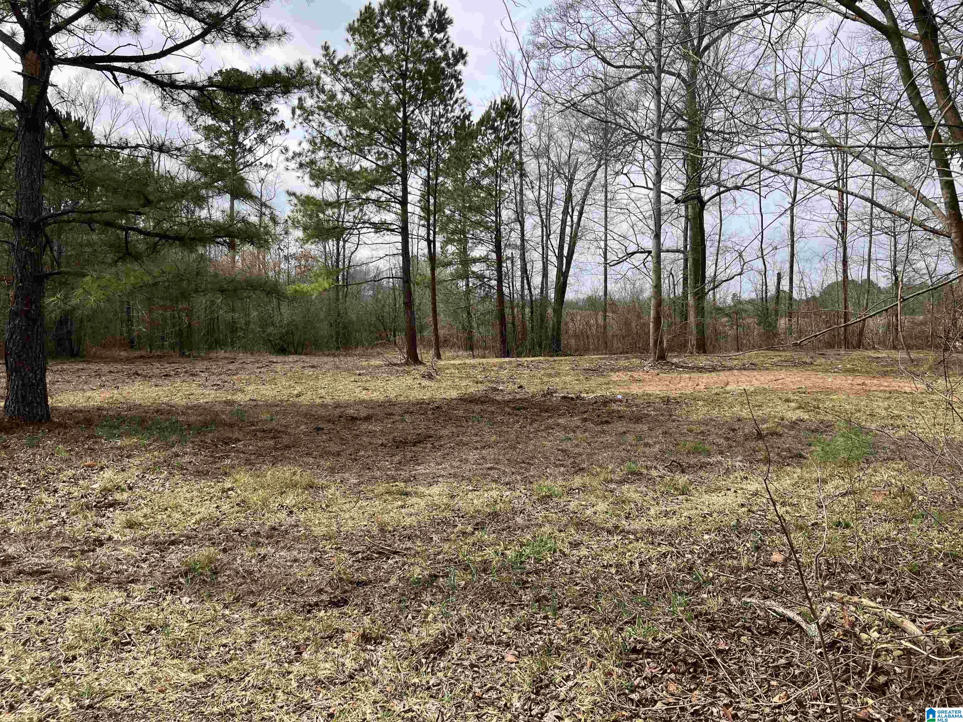 4624 Greensport Road Ashville, AL 35953 - Photo 5 of 37