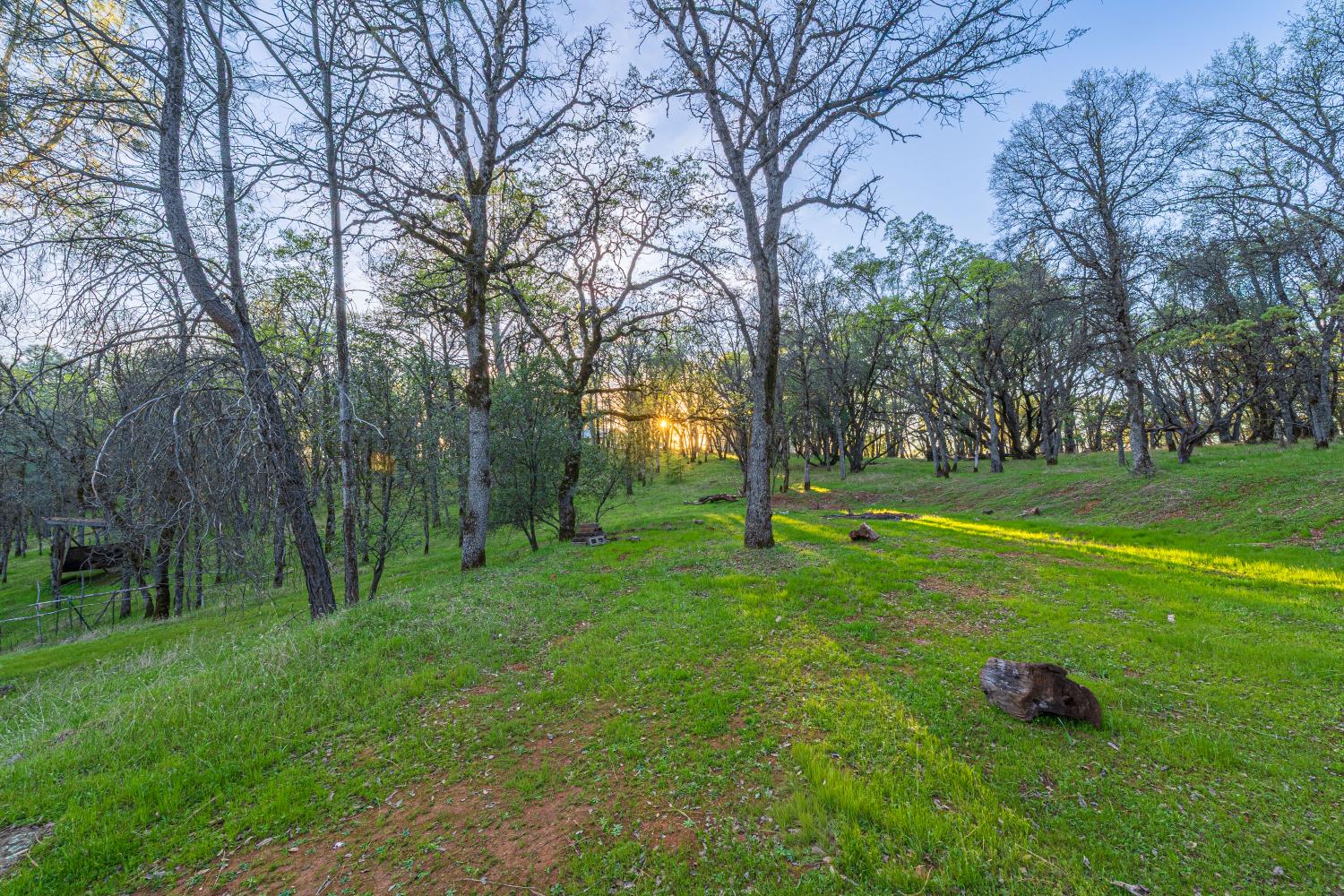 11383 Woodacre Road Grass Valley, CA 95949 - Photo 93 of 99