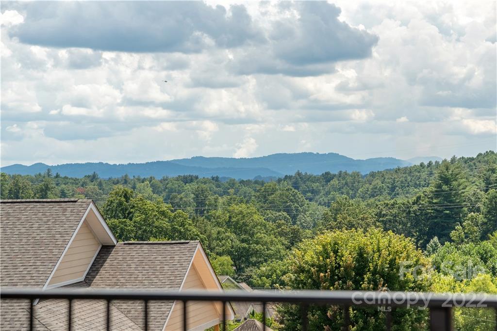 112 Meadow Breeze Road Arden, NC 28704 - Photo 33 of 44 a view of a city from a balcony