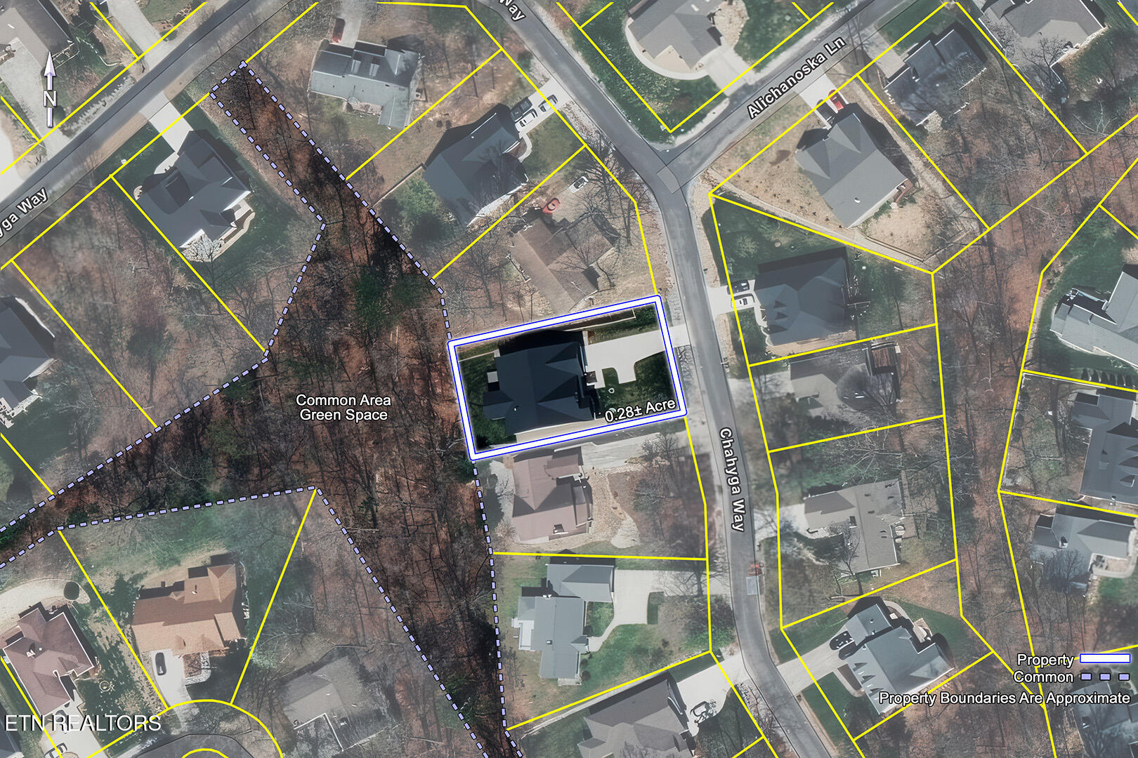 173 Chahyga Way Loudon, TN 37774 - Photo 60 of 60 60_ChahygaWay_173_SatellitePlat