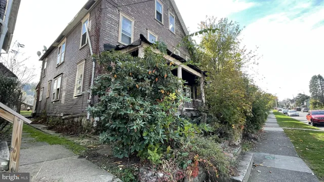 a view of a garden with plants and trees