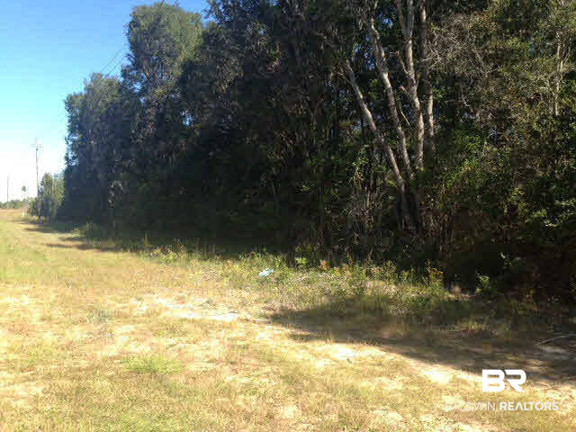 10376 County Road 97 Elberta, AL 36530 - Photo 1 of 1