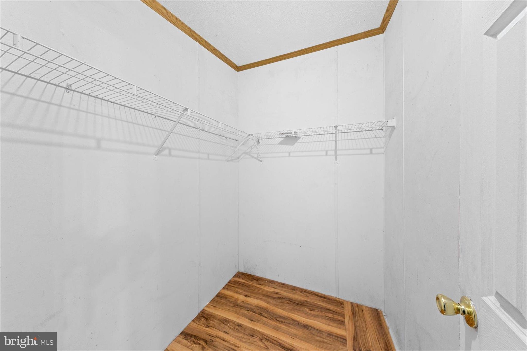 25997 Butler Branch Road Seaford, DE 19973 - Photo 18 of 33 Primary Bedroom Walk-In Closet