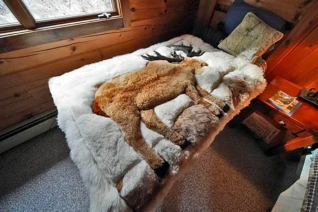 $344,500 | 1058 Highway 1, Weston, ME 04424