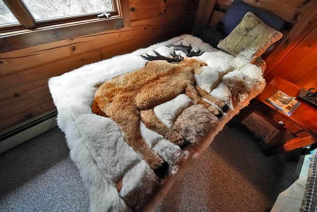 1058 Highway 1 Weston, ME 04424 - Photo 50 of 94 outdoors-indoors-in-maine